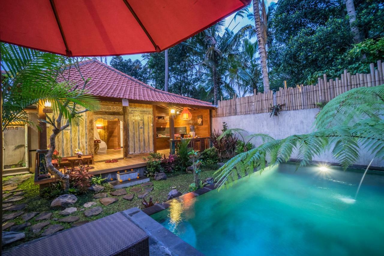 The Forest Batu Kurung Ubud المظهر الخارجي الصورة
